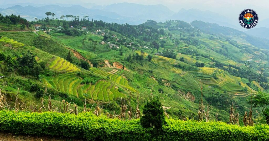 Lao Chai Rice Terraces Ha Giang 