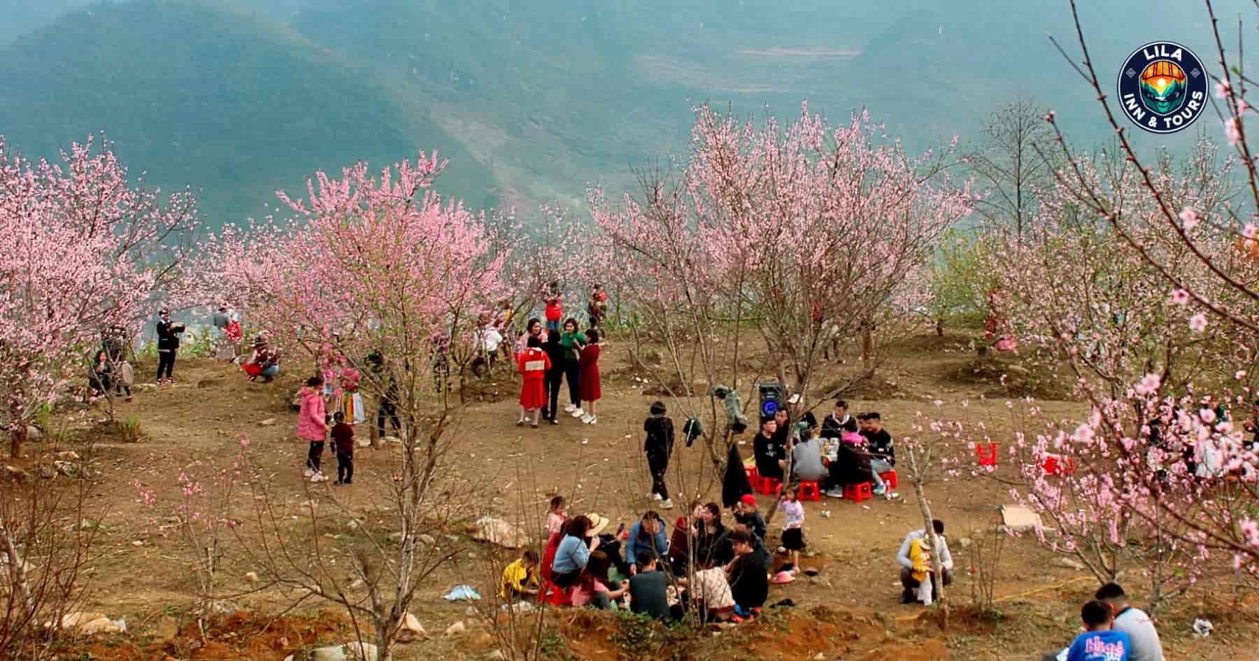 Best time to visit Ha Giang