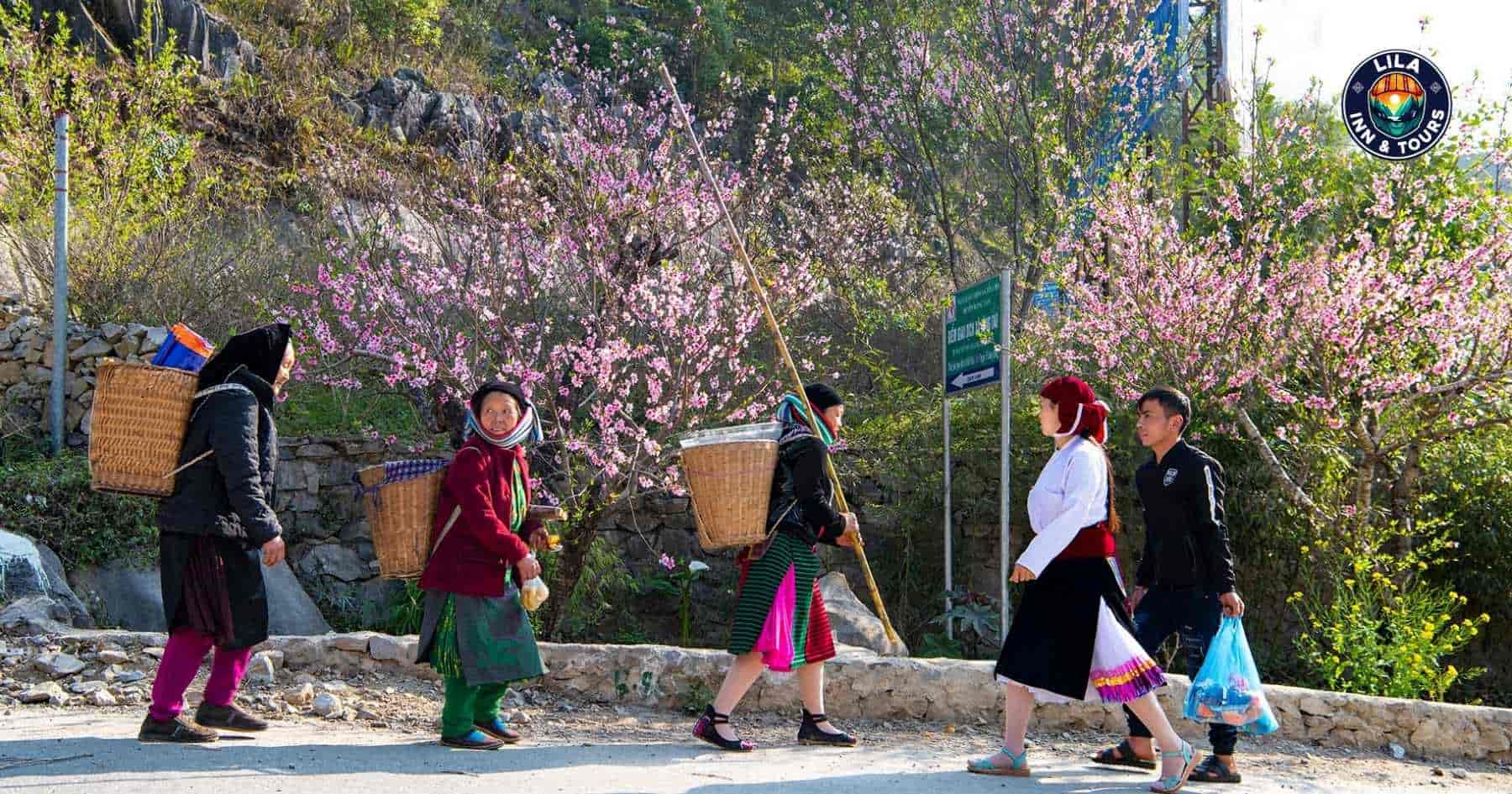 Spring time ha giang