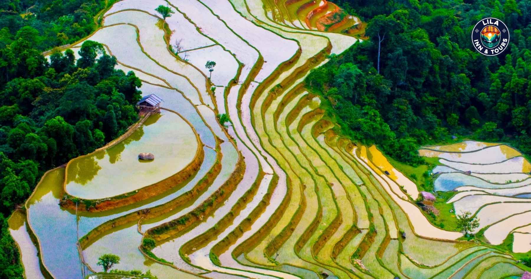 Rice Terraces ha giang