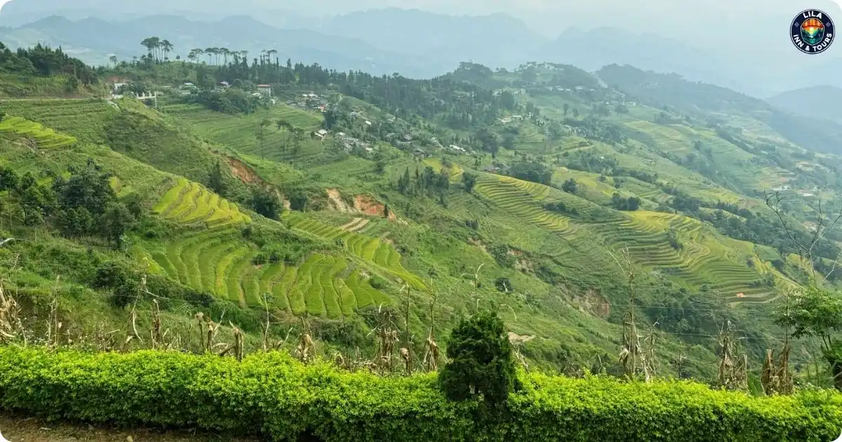 lao va chai terraces in ha giang loop tour 3 day