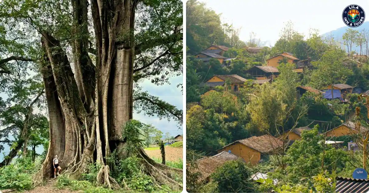 thien huong village in ha giang loop cao bang tour 5 day