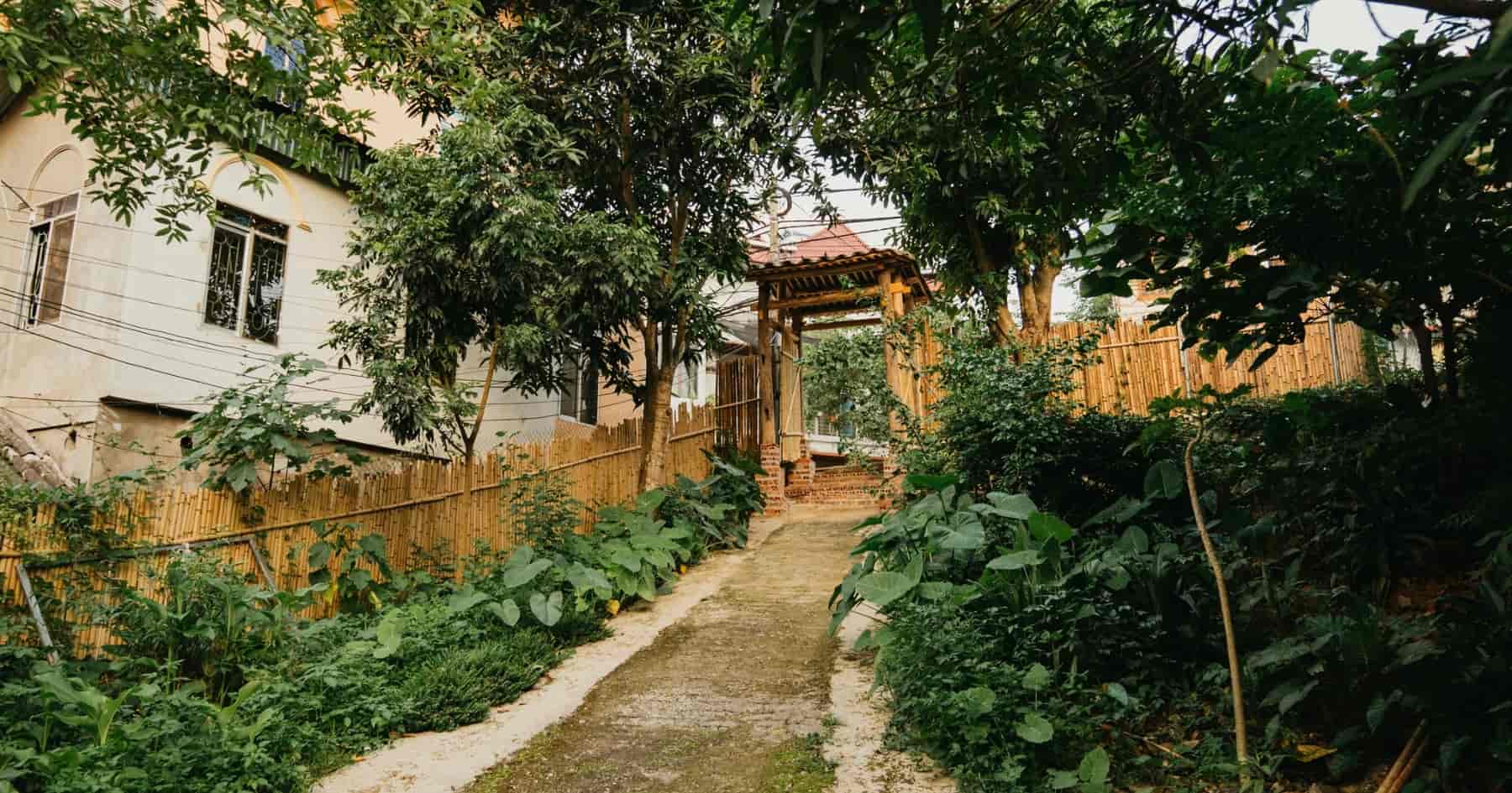 Cốm Homestay Bảo Lạc 