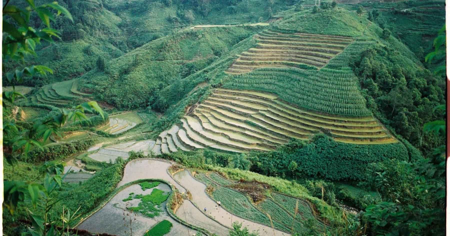Nam Dam Village Terrace Field