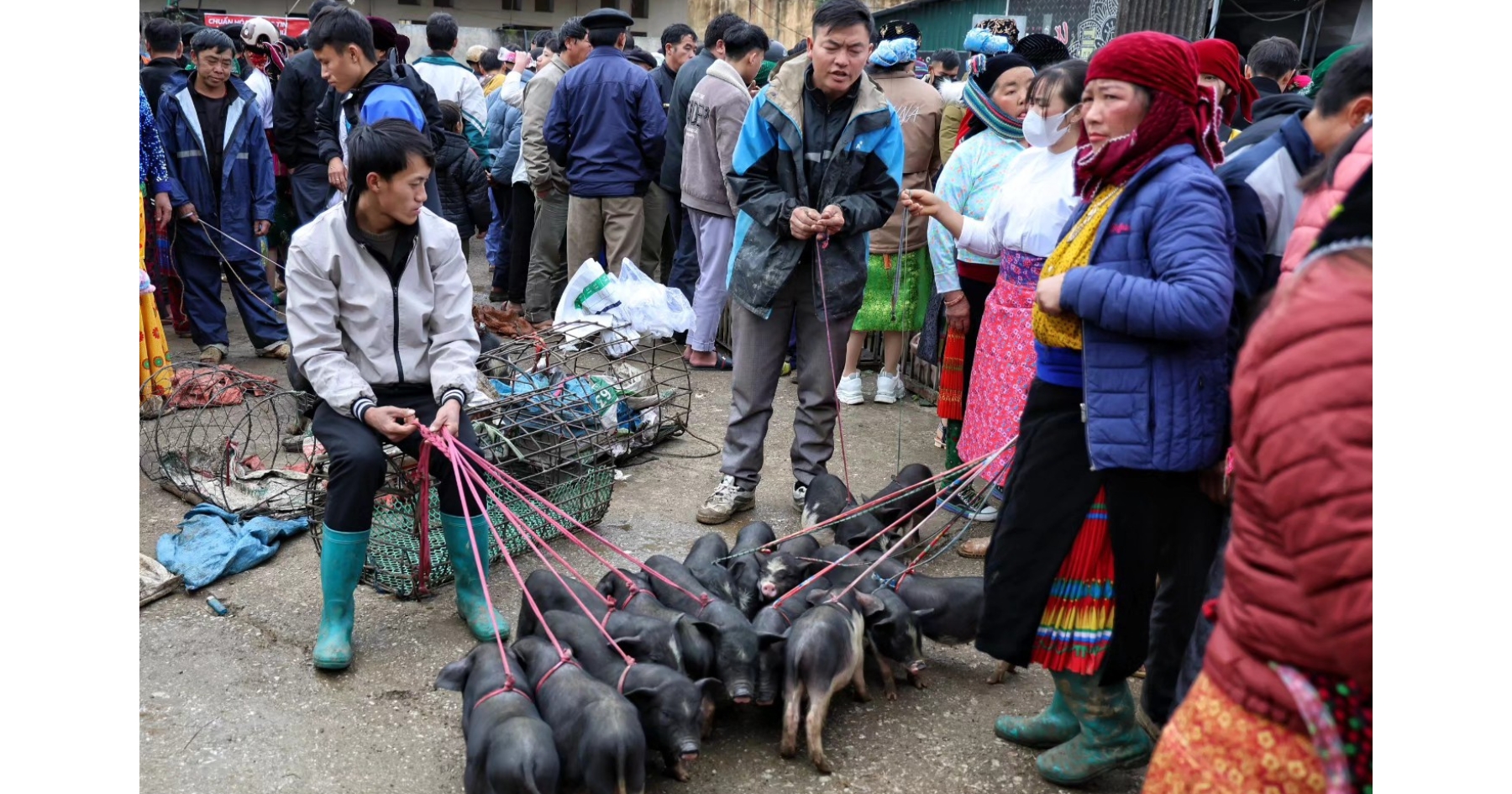 Dong Van Market