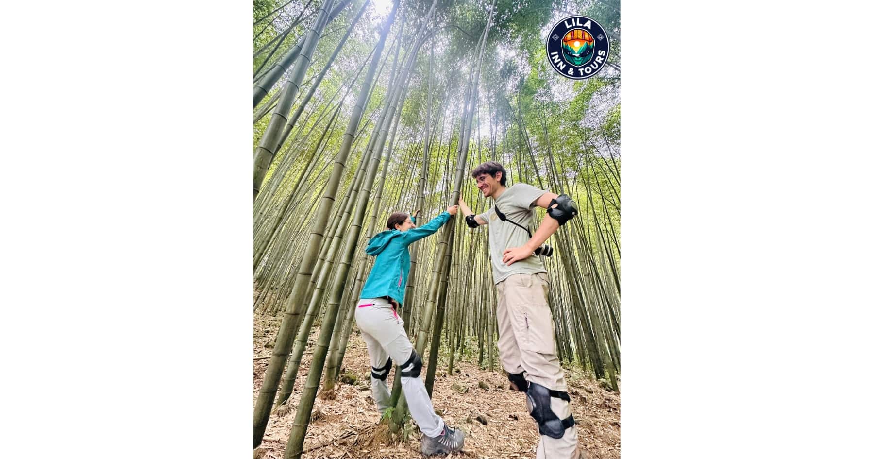 Meo Vac Bamboo Forest