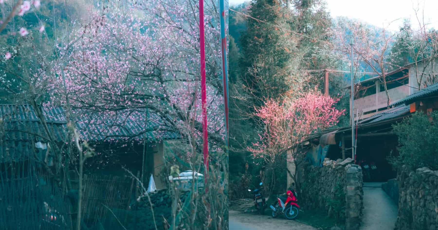Pho Bang Village