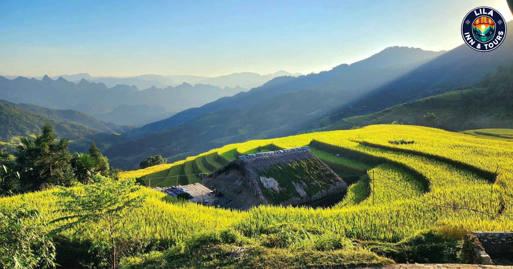 The terraced rice fields stretch along the mountainside, turning the entire area golden