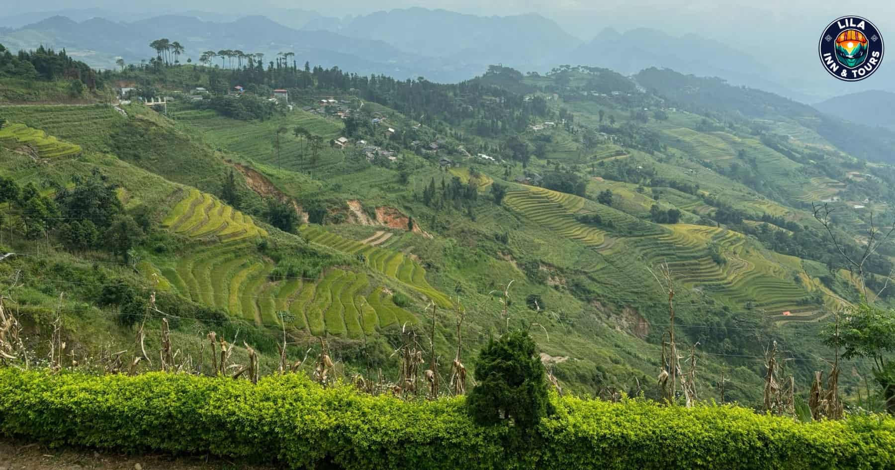 Lao va Chai