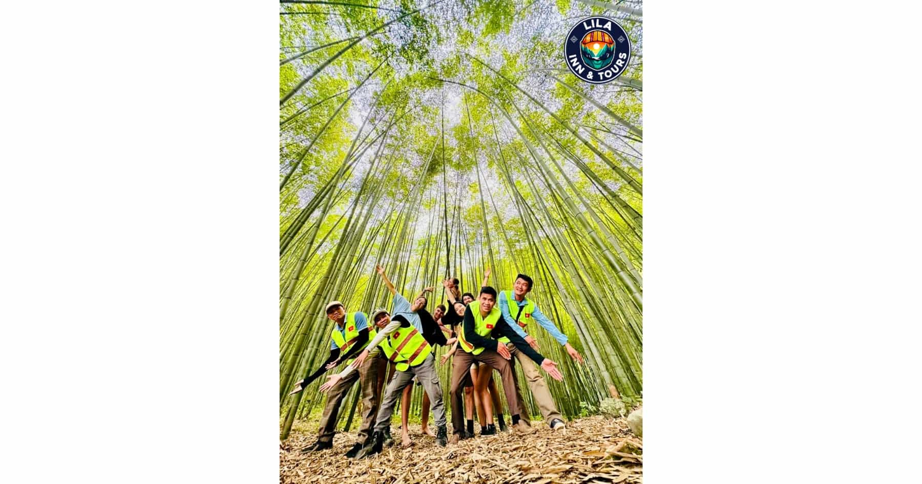 Meo Vac Bamboo Forest