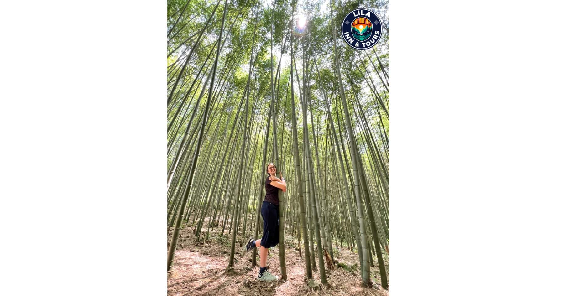 Meo Vac Bamboo Forest