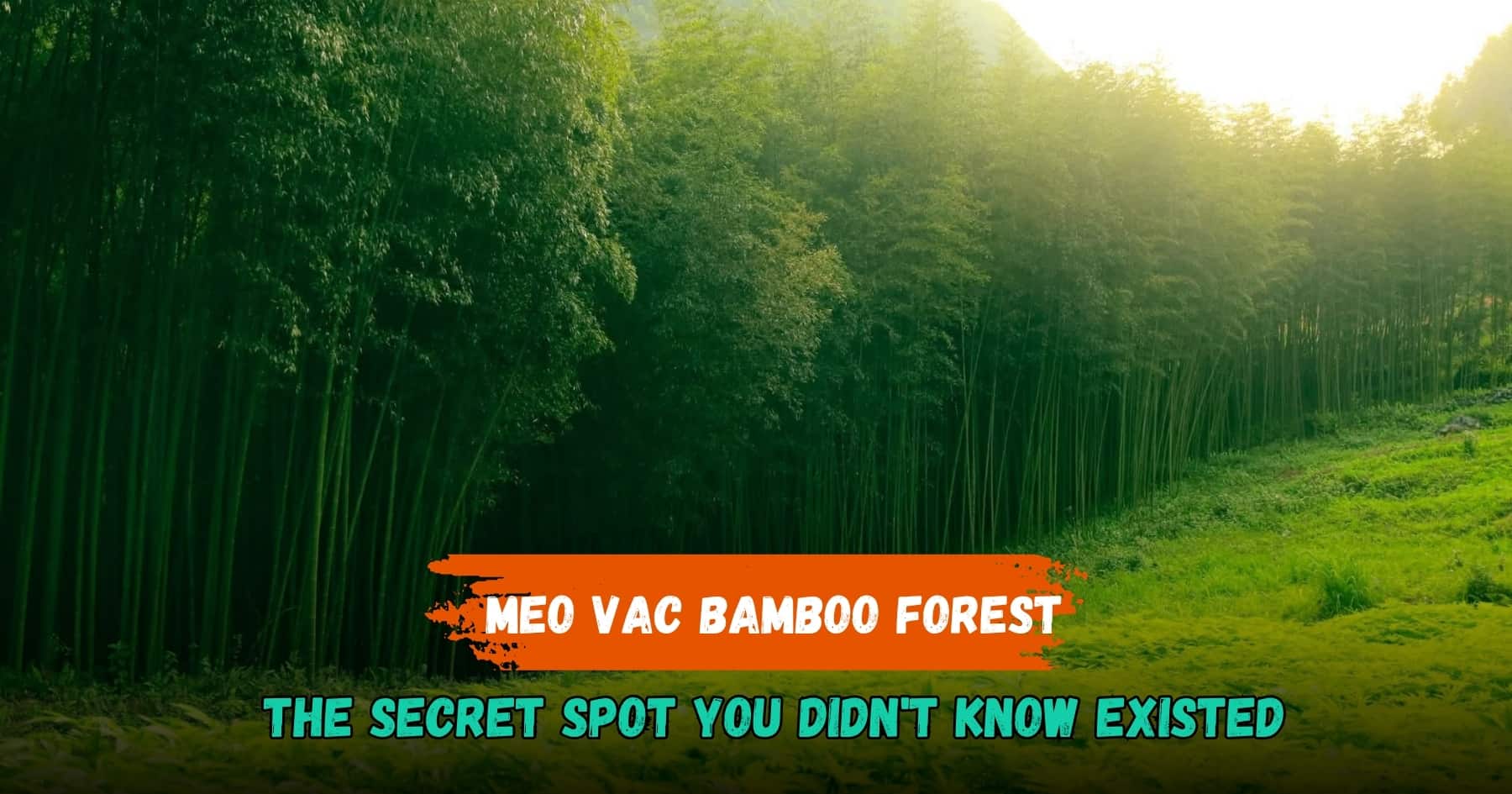 Meo Vac Bamboo Forest